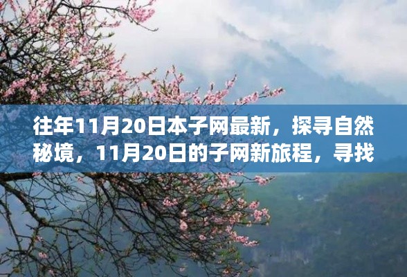 往年11月20日本子網(wǎng)最新，探尋自然秘境，11月20日的子網(wǎng)新旅程，尋找內(nèi)心的桃花源