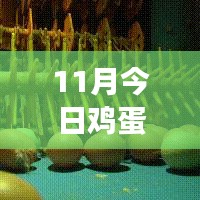 11月雞蛋價格最新行情解析，多方觀點(diǎn)交織的思考