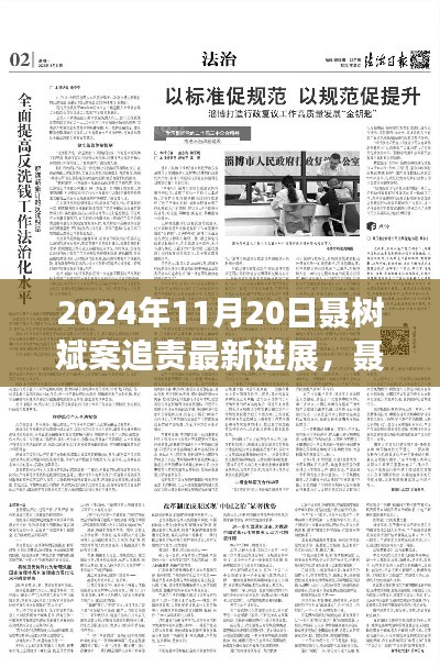 聶樹斌案追責(zé)最新進(jìn)展深度解析，2024年11月20日追責(zé)進(jìn)展及評(píng)測(cè)