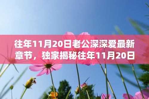 往年11月20日老公深情與高科技融合，全新智能伴侶揭秘，顛覆想象！