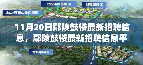 11月20日鄢陵鼓樓最新招聘信息及平臺深度評測，特性、體驗與用戶洞察