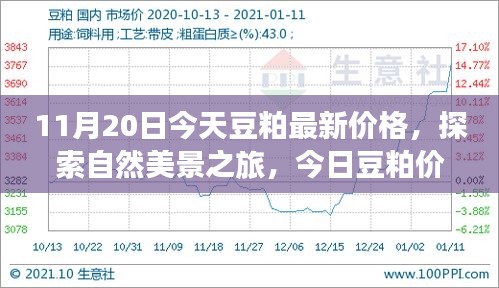 啟程尋找內(nèi)心平和，今日豆粕最新價格與自然美景之旅的寧靜故事