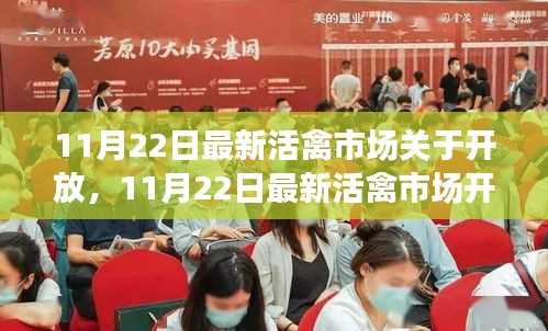 11月22日活禽市場開放動(dòng)態(tài)，復(fù)蘇與機(jī)遇的挑戰(zhàn)