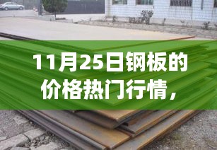 11月25日鋼板價(jià)格行情深度解析，市場(chǎng)波動(dòng)與多方觀點(diǎn)透視