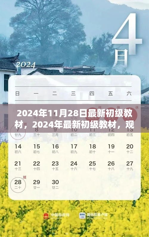 觀點(diǎn)闡述與深度分析，最新初級教材深度解讀（2024年最新版）