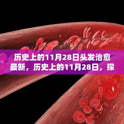 歷史上的11月28日，探尋頭發(fā)治愈的最新篇章??