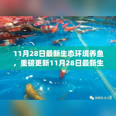 揭秘最新生態(tài)環(huán)境養(yǎng)魚秘籍，打造生態(tài)魚池新境界！