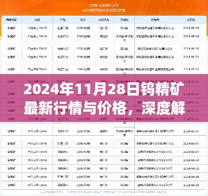 深度解析，2024年11月28日鎢精礦最新行情與價(jià)格展望