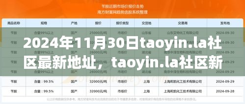 2024年11月30日taoyin.la社區(qū)新址展望，機(jī)遇與挑戰(zhàn)并存