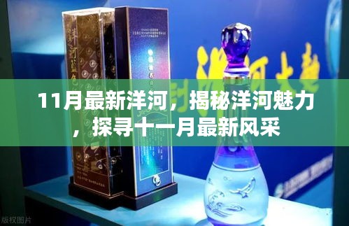 揭秘洋河魅力，十一月最新風(fēng)采展示