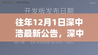 深中浩歷年公告深度解析，背景、事件與領(lǐng)域地位回顧之最新公告解讀