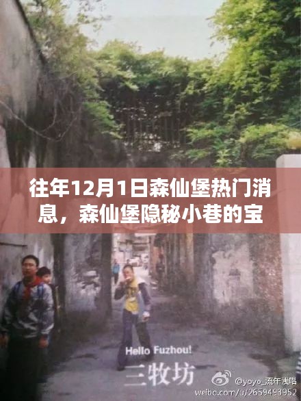 揭秘森仙堡隱秘小巷寶藏，十二月一日獨(dú)家新聞與特色小店的非凡魅力