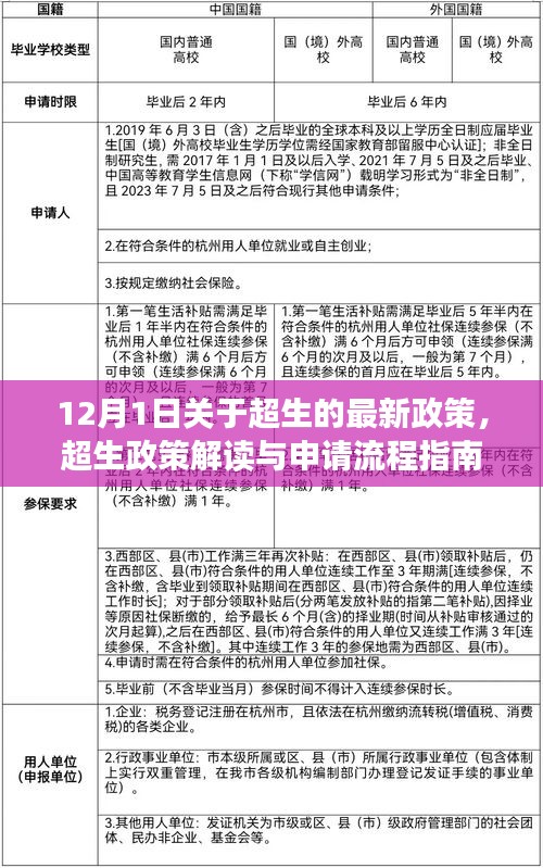 超生政策解讀與申請(qǐng)流程指南，最新政策解讀適用于初學(xué)者與進(jìn)階用戶