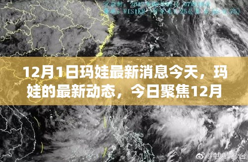 聚焦今日，瑪娃最新動態(tài) 12月1日消息