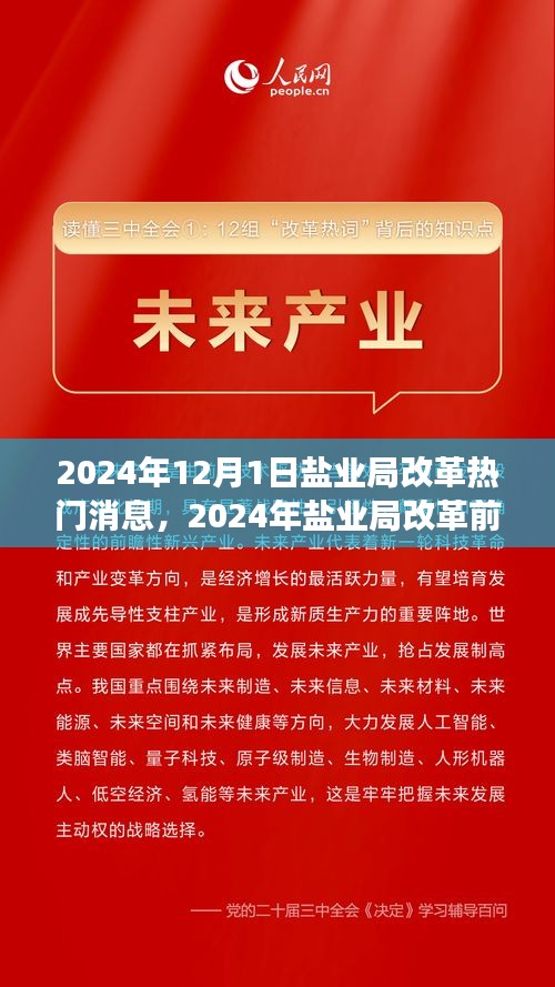 鹽業(yè)局改革前沿動態(tài)，創(chuàng)新策略與未來展望（2024年鹽業(yè)局改革熱門消息）