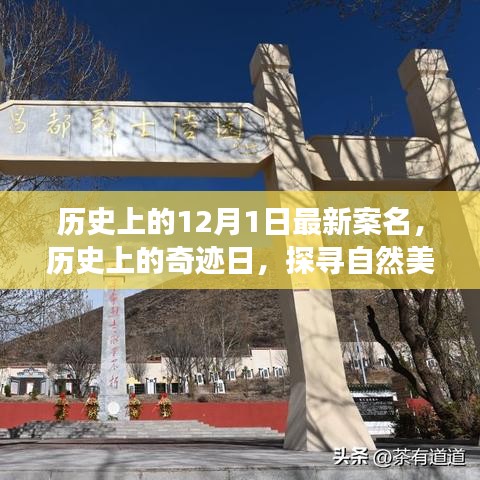 探尋奇跡日，歷史上的自然美景之旅與寧靜革命之路的探尋