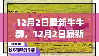 探索潮流社交新領(lǐng)地，最新牛牛群集結(jié)