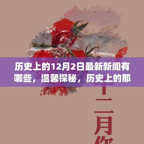 溫馨探秘，歷史上的十二月二日最新新聞與日常小故事回顧