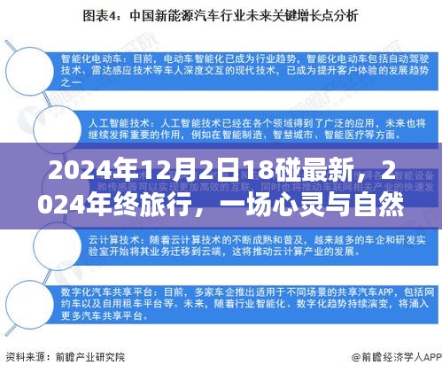 心靈與自然的碰撞，2024年終旅行記