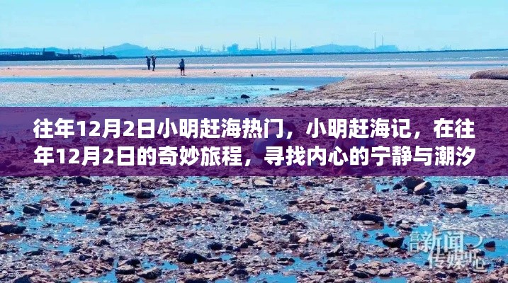 小明趕海記，尋找潮汐之聲與內(nèi)心的寧靜之旅