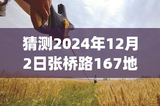 張橋路167地塊，溫馨日常的預(yù)測與小故事的美好展望（2024年12月2日）