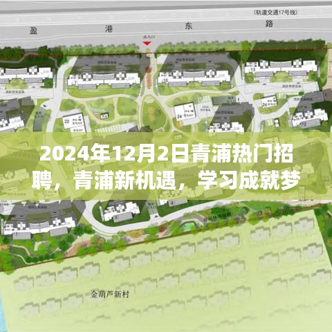 2024年12月2日青浦熱門招聘啟幕，新機遇助力學習成就夢想