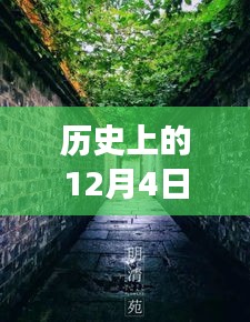 歷史上的12月4日潁上易景售樓盛況揭秘，巷陌間的夢(mèng)幻售樓空間獨(dú)特記憶