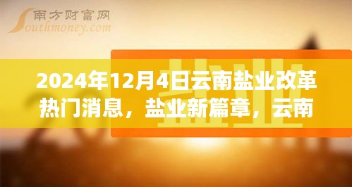 云南鹽業(yè)改革新篇章，溫情故事與行業(yè)動態(tài)揭秘（2024年12月4日）