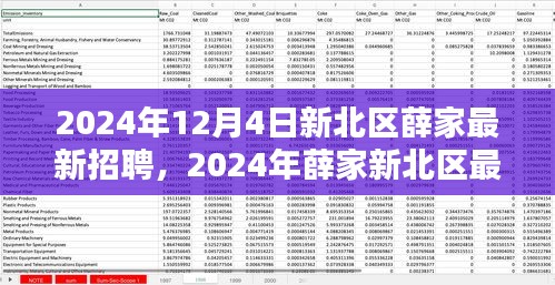 2024年新北區(qū)薛家最新招聘全攻略，適合初學(xué)者與進(jìn)階用戶的應(yīng)聘指南