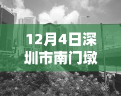 深圳市南門墩12月4日最新動(dòng)態(tài)詳解與任務(wù)技能指南