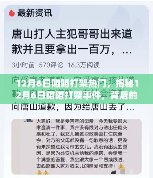 揭秘，12月6日陌陌打架事件背后的原因與影響熱議風(fēng)潮