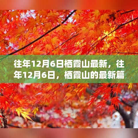 往年12月6日棲霞山深度解析，歷史、事件與地位的新篇章