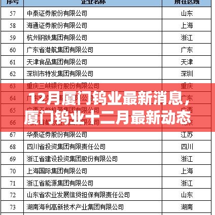 廈門鎢業(yè)十二月最新動態(tài)概覽，最新消息概覽