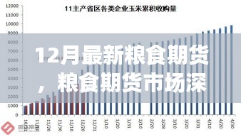 聚焦糧食期貨市場深度洞察，十二月最新動態(tài)與市場趨勢