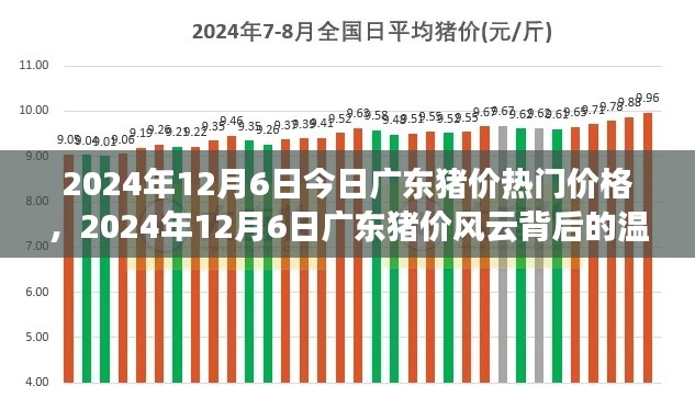 廣東豬價風(fēng)云背后的溫情故事，最新價格動態(tài)與深度解讀