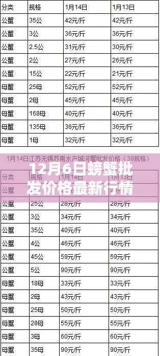 12月6日螃蟹批發(fā)價(jià)格最新行情，12月6日螃蟹批發(fā)價(jià)格最新行情詳解，入門(mén)指南與關(guān)鍵步驟