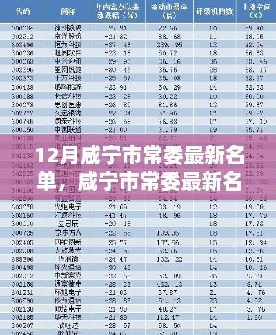 12月咸寧市常委最新名單，咸寧市常委最新名單科技新品亮相，智能時(shí)代，革新未來體驗(yàn)