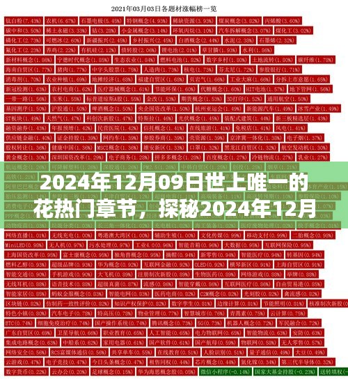 探秘世上唯一的花，揭秘熱門章節(jié)三大要點（日期，2024年12月09日）