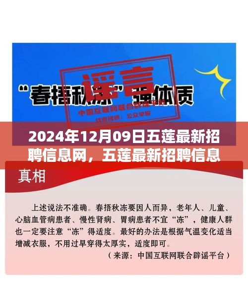 五蓮最新招聘信息網(wǎng)使用指南（初學者與進階用戶適用，發(fā)布日期，2024年12月9日）