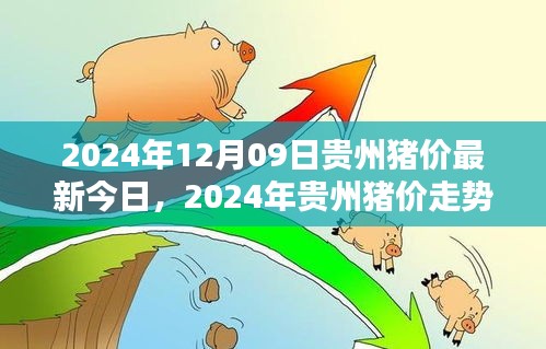 2024年貴州豬價(jià)走勢(shì)分析與深度探討，最新今日豬價(jià)及未來(lái)趨勢(shì)