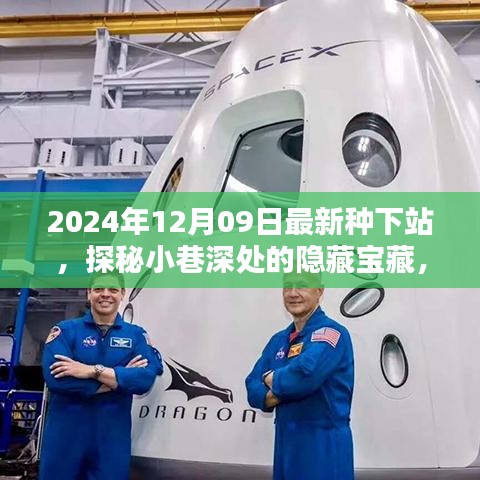 探秘最新種下站，小巷深處的隱藏寶藏與特色小店推薦（2024年12月09日）