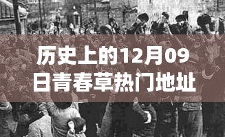 探尋青春草熱門地址背后的文化現(xiàn)象與青春記憶，歷史視角下的12月09日回顧