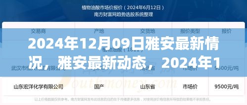 雅安最新動(dòng)態(tài)深度觀察，2024年12月09日最新情況報(bào)告