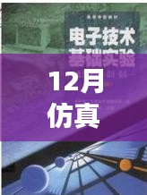 仿真之路，實(shí)時(shí)啟航，迎接自信與成就感的魔法時(shí)刻——十二月仿真需求解析