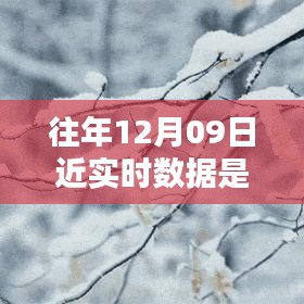 往年12月9日數(shù)據(jù)的魔法，溫馨回憶中的實(shí)時(shí)時(shí)光