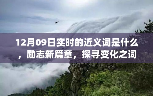 12月09日實時近義詞探索與勵志新篇章，探尋詞匯魔力，學習鑄就自信成就之橋