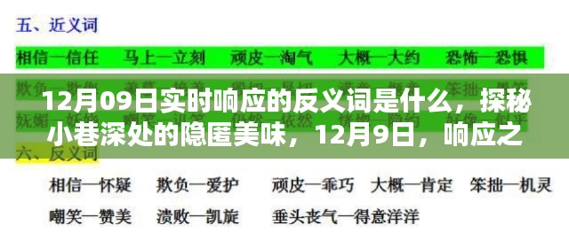 探秘實(shí)時(shí)響應(yīng)反義詞與小巷深處的隱匿美味，12月9日的探索之旅