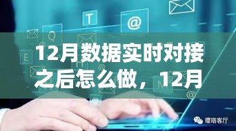 12月數(shù)據(jù)實時對接后的策略指南，多方考量與行動步驟