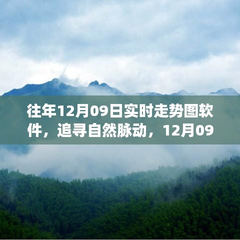 追尋自然脈動，12月09日走勢圖背后的心靈之旅與實時走勢圖軟件解析