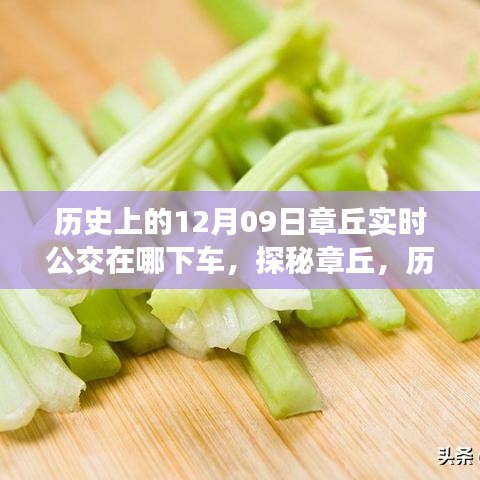 探秘章丘，歷史深處的公交軌跡與小巷美食寶藏——12月9日實(shí)時(shí)公交指南